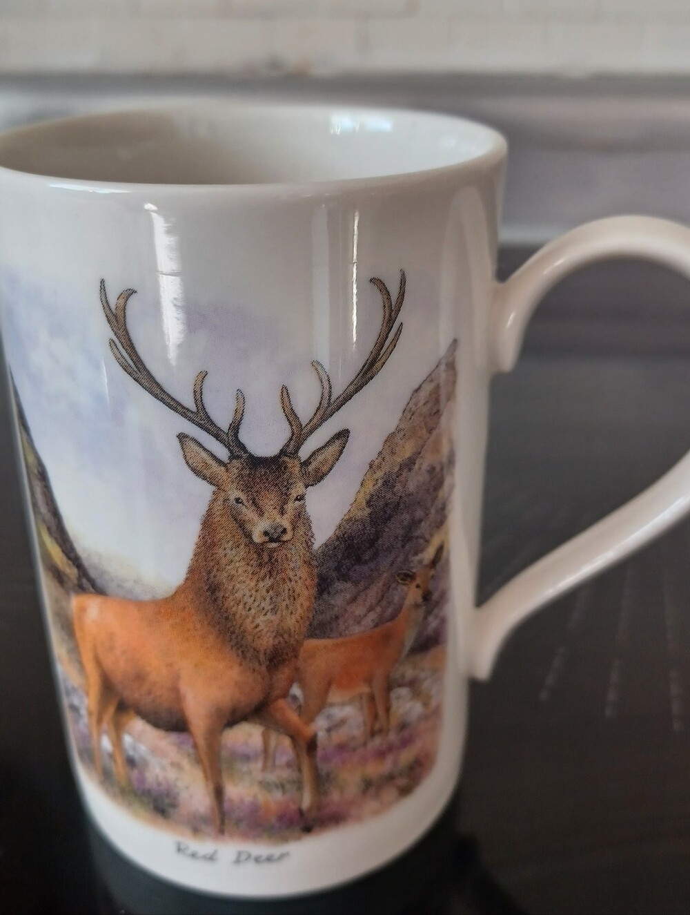 Dunoon Highland Wildlife Stoneware Mug Richard Partis Made In Scotland Hunting